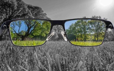 Perché imparare a cambiare punto di vista fa bene